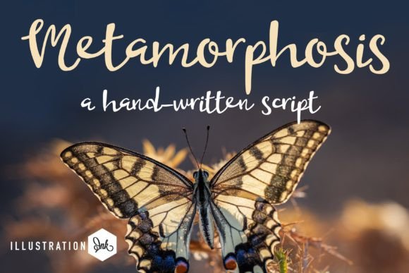 Metamorphosis: A Quirky Handwritten Font for Script Amp